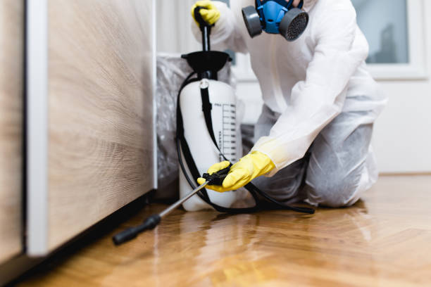 Best Emergency Pest Control  in Richfield Springs, NY