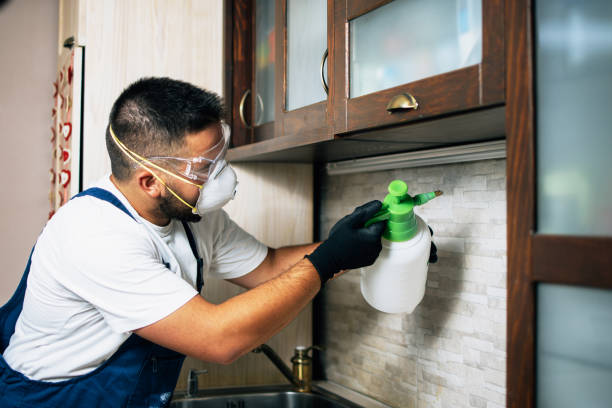 Best Mosquito Control Services  in Richfield Springs, NY
