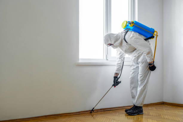 Best Spider Control Near Me  in Richfield Springs, NY