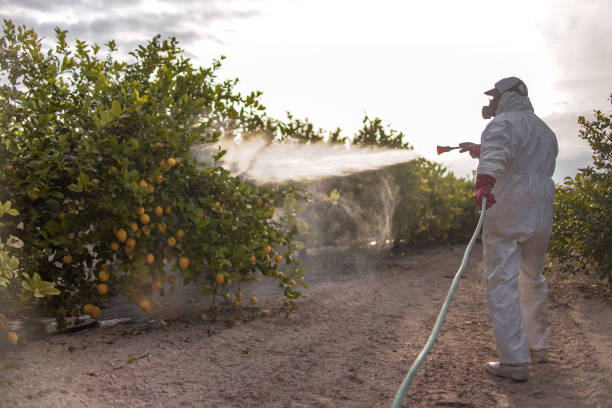 Best Bed Bug Extermination  in Richfield Springs, NY