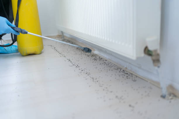 Best Affordable Pest Control Services  in Richfield Springs, NY