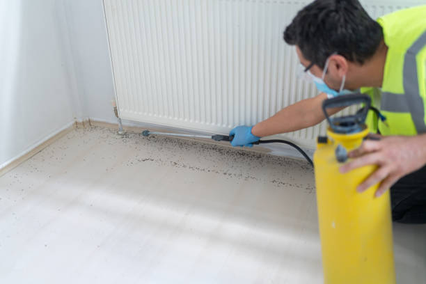 Best Commercial Pest Control Services  in Richfield Springs, NY